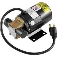 Low Profile Truck Drain with Electric Pump Nassau Supply