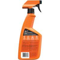 Multi-Purpose Auto Cleaner, 16 oz./473 ml, Trigger Bottle Nassau Supply