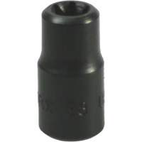 E-8 Torx&reg; Socket Nassau Supply