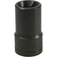E-20 Torx&reg; Socket Nassau Supply