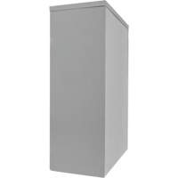 Counter-High Storage Cabinet, Steel, 2 Shelves, 42" H x 30" W x 15" D, Grey Nassau Supply