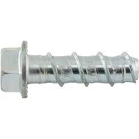Boulons Wedge Bolts, Acier au carbone, 1/2" x 2" Nassau Supply