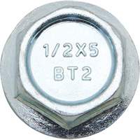 Boulons Wedge Bolts, Acier au carbone, 1/2" x 2" Nassau Supply