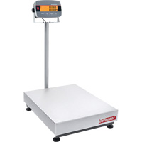 Defender 3000 i-D33 Bench  Scale, 300 lbs. Capacity Nassau Supply