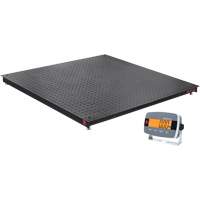 DEFENDER 3000 Floor Scale, 2500 lbs. Capacity, 48" W x 48" L Nassau Supply
