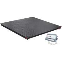 DEFENDER 5000 Floor Scale, 2500 lbs. Capacity, 48" W x 48" L Nassau Supply