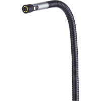 VS80 Dual HD Camera Probe Nassau Supply