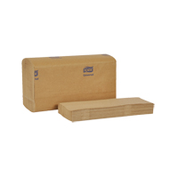Multifold Towels, 1 Ply, 9-1/10" L x 9-1/2" W, 250 /Pack Nassau Supply