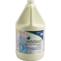Glass & Multi-Surface Cleaner, 4 L, Jug Nassau Supply