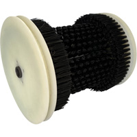 Brosse de recharge Nassau Supply