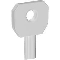 Lock or Not™ Dispenser Key JK699 | Nassau Supply
