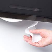 Distributeur de papier hygi&eacute;nique avec unit&eacute; combin&eacute;e &agrave; rouleau JRT avec mandrin, Multiple Capacit&eacute; du rouleau Nassau Supply