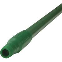 Manche, Balai/Grattoir/Raclette, Vert, Standard, 59" lo Nassau Supply