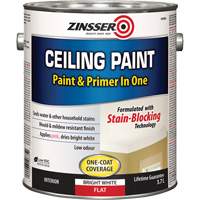 Peinture et appr&ecirc;t pour plafond en un seul produit, Blanc, Tr&egrave;s mat, 3,78 L, Gallon Nassau Supply