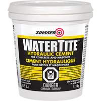 Watertite<sup>®</sup> Hydraulic Cement JL339 | Nassau Supply