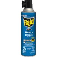 Raid<sup>®</sup> Wasp & Hornet Bug Killer, 400 g, Solvent Base JL959 | Nassau Supply