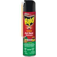 Raid<sup>®</sup> Outdoor Ant Nest Destroyer Insecticide, 400 g, Aerosol Can JM262 | Nassau Supply