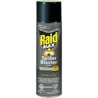 Raid<sup>®</sup> Max<sup>®</sup> Spider Blaster Bug Killer Insecticide, 500 g, Aerosol Can, Solvent Base JM270 | Nassau Supply