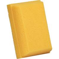 &eacute;ponge &agrave; coulis, Coulis, 5" la x 7" l Nassau Supply