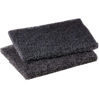 Tampon de polissage pour plaque de cuisson Scotch-Brite, 4" lo x 5" la Nassau Supply