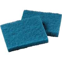 Tampon nettoyant pour batterie de cuisine antiadh&eacute;sive, &agrave; r&eacute;curer, 5-1/4" la x 4" l Nassau Supply