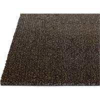 Palliser Indoor Matting, Wiper/Scraper, 3-1/2' x 6' x 5/16", Anglis Nassau Supply