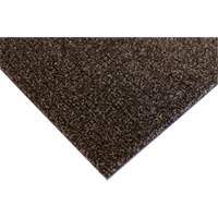 Palliser Indoor Matting, Wiper/Scraper, 3-1/2' x 6' x 5/16", Anglis Nassau Supply