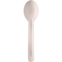 Bagasse Compostable Spoons Nassau Supply
