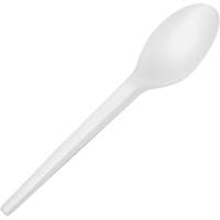 CPLA Compostable Spoons Nassau Supply