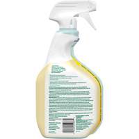 CloroxPro Clorox EcoClean All-Purpose Cleaner, 946 ml, Trigger Bottle Nassau Supply