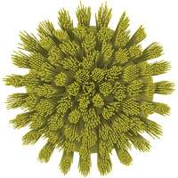 Brosse ronde HyDrive pour perceuse, Soies Tr&egrave;s ferme, Longueur de 3-1/10", Jaune Nassau Supply