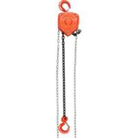 Chain Hoist, 10' Lift, 1000 lbs. (0.45 tons) Capacity, Alloy Steel Chain Nassau Supply
