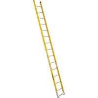 Single Section Straight Ladder - 6100 Series, 14', Fibreglass, 375 lbs., CSA Grade 1AA MF383 | Nassau Supply