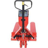 Transpalette, 48" lo x 27,5" la, Capacit&eacute; de 5000 lb Nassau Supply