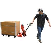 Transpalette, 48" lo x 27,5" la, Capacit&eacute; de 5000 lb Nassau Supply