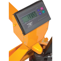 Transpalettes &agrave; Balance Num&eacute;rique, 47,5" lo x 22" la, Capacit&eacute; de 5000 lb Nassau Supply