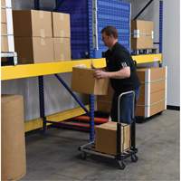 Fold-Up Platform Truck, Stainless Steel, 300 lbs., 28" L x 16" W, 33-1/2" High Nassau Supply