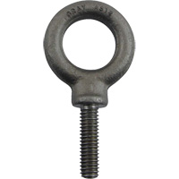 Boulon &agrave; oeil en acier alli&eacute;, 1" dia, 1-1/4" lo, 1480 lb (0,74 tonnes)/1480 lb capacit&eacute; Nassau Supply