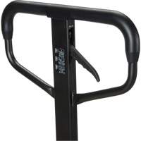 Quick-Lift Manual Pallet Truck, Steel, 48" L x 20.5" W, 5500 lbs. Capacity Nassau Supply