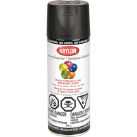 Laque industrielle Acryli-Quik, Noir, Semi-mat, 12 oz, Canette a&eacute;rosol Nassau Supply