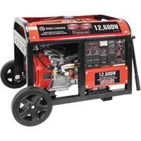 Gasoline Generator with Electric Start, 12600 W Surge, 9000 W Rated, 120 V/240 V, 31 L Tank Nassau Supply