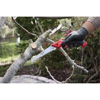 7” Folding Pruning Saw with ?Straight Blade Nassau Supply
