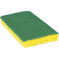 &eacute;ponge &agrave; r&eacute;curer pour travaux moyens Scotch-Brite, &agrave; r&eacute;curer, 3-3/5" la x 6-1/10" l Nassau Supply