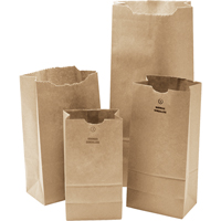 #3 Kraft Bag, Paper, 4-3/4" W x 8-1/2" L PG697 | Nassau Supply