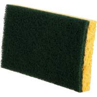 &eacute;ponges utilitaires, Cellulose, 6" la x 3-1/2" l Nassau Supply