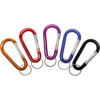 Snap Rings
