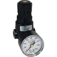 Wilkerson Miniature Regulator R04, 1/4" NPT, 300 psi Max. PSI, Standard Nassau Supply