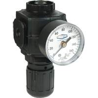 Series 1 Compact Regulator, 1/2" NPT, 150 PSI Max. PSI, Standard Nassau Supply