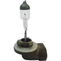 Low Voltage Automotive Bulb Nassau Supply