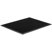Tapis Gritstop Fingermat, Caoutchouc, Grattoir Type, Motif Textur&eacute;, 2' x 2-2/3', Noir Nassau Supply